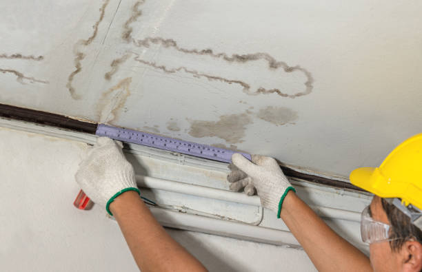 Reliable Water Damage contractor in Louisburg, KS by Water Damage Irwin